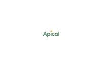 Apical Group